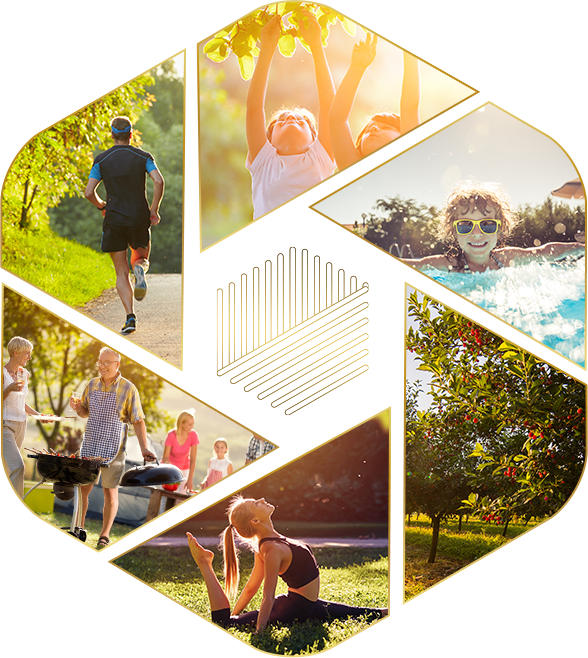 anderson-park-tien-ich