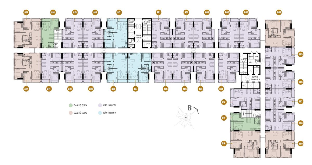 Mằng bằng tầng điển hình Symlife